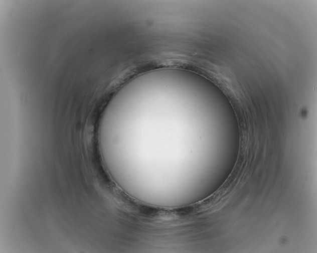 X0000095110263200712070926