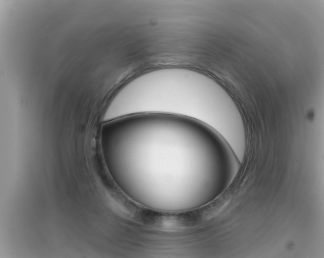 X0000095110264200712070926