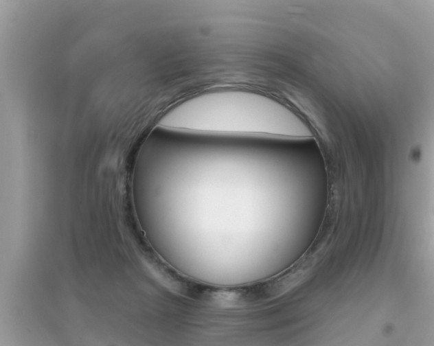 X0000095110265200712070926