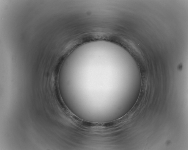 X0000095110266200712070926