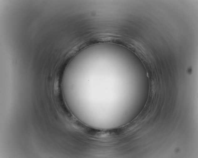 X0000095110267200712070926