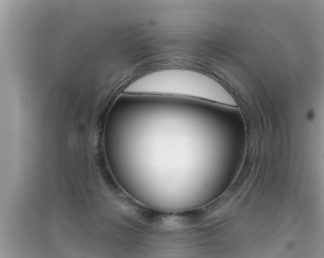 X0000095110268200712070926