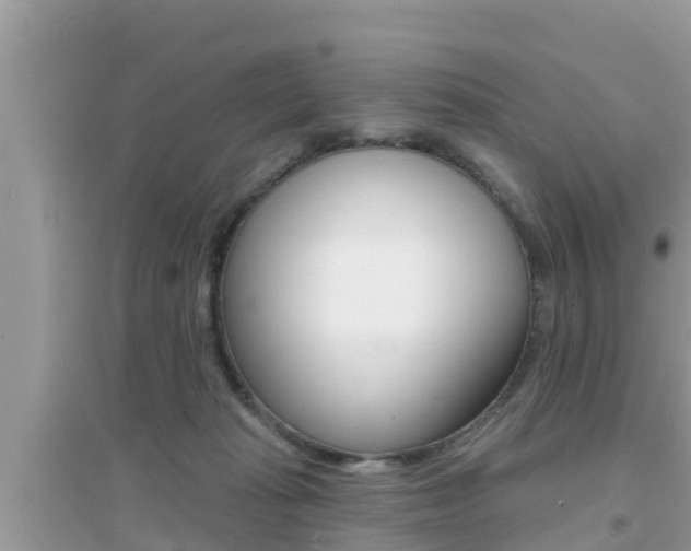 X0000095110269200712070926