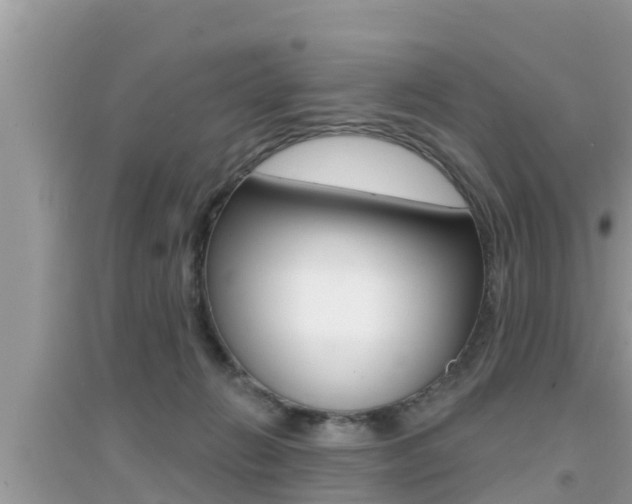 X0000095110270200712070926