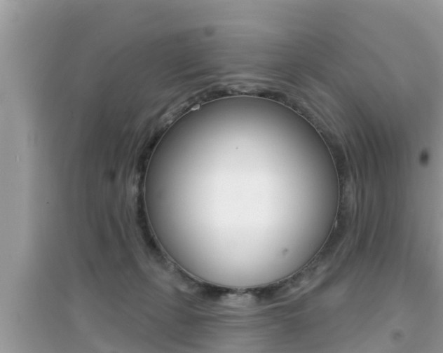 X0000095110271200712070926