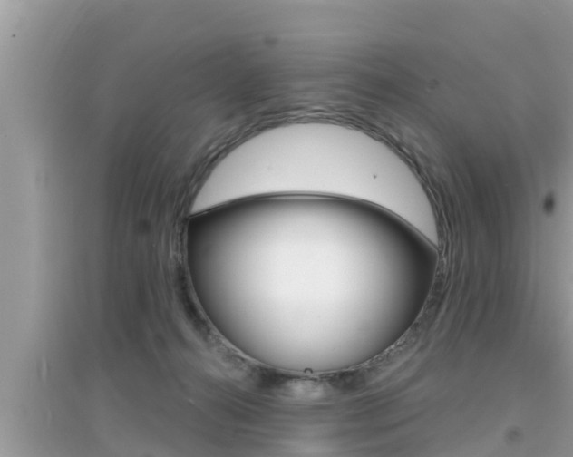 X0000095110272200712070926