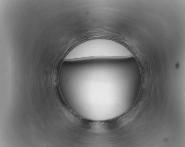 X0000095110273200712070926