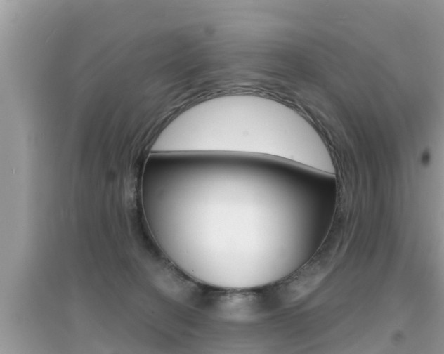 X0000095110274200712070926