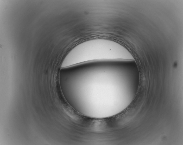X0000095110275200712070926