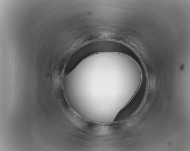 X0000095110276200712070926