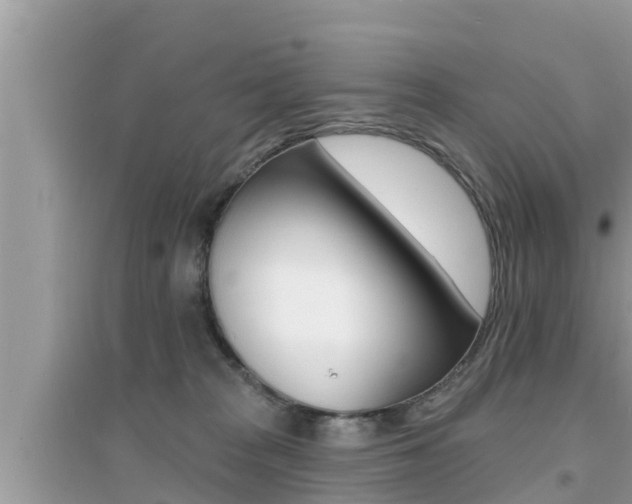X0000095110277200712070926