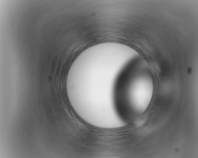 X0000095110280200712070926