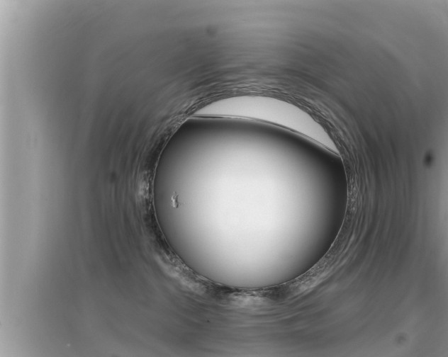 X0000095110284200712070927