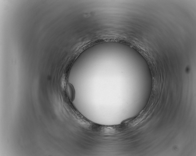 X0000095110287200712070927