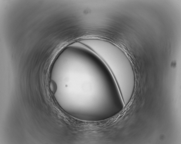 X0000095110289200712070926