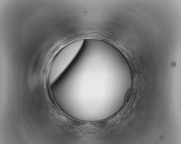X0000095110290200712070926