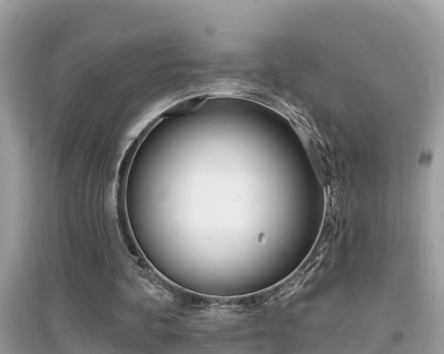 X0000095110292200712070926