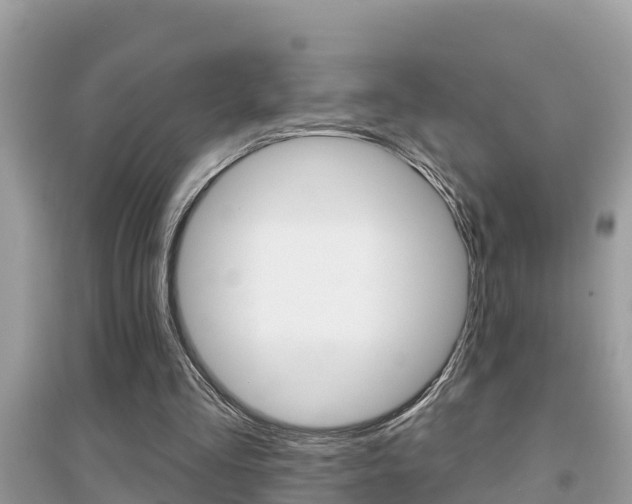 X0000095110293200712070926