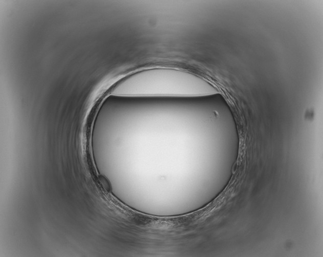 X0000095110294200712070926