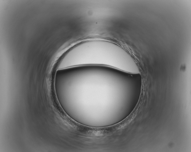 X0000095110295200712070926
