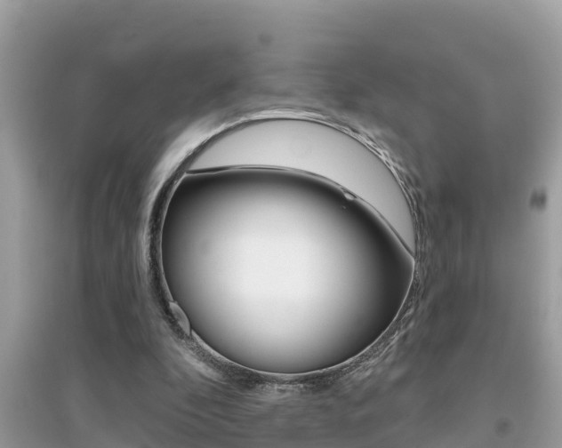 X0000095110296200712070926