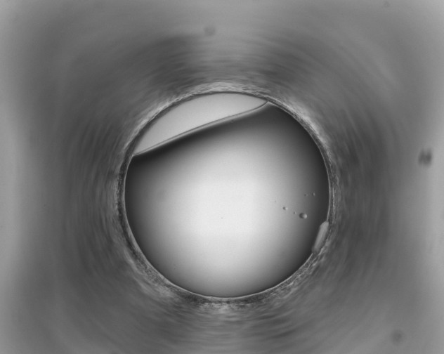 X0000095110297200712070926