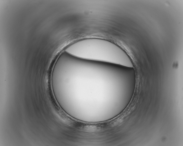 X0000095110298200712070926