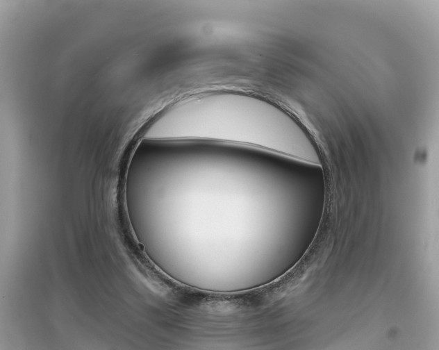 X0000095110299200712070926
