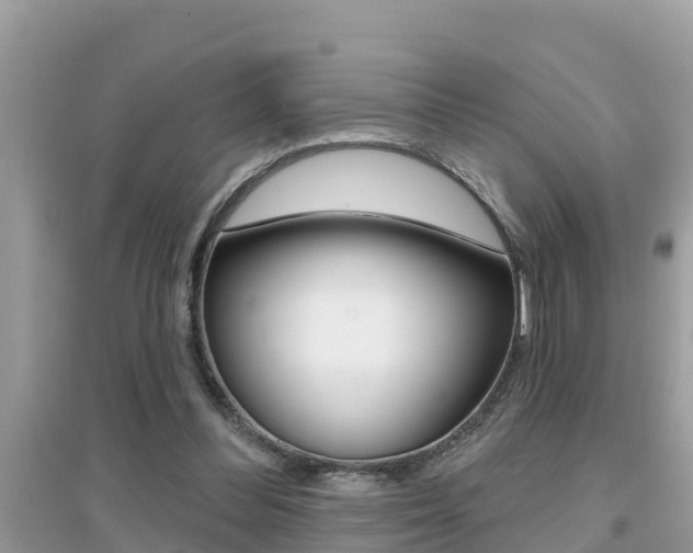 X0000095110300200712070926