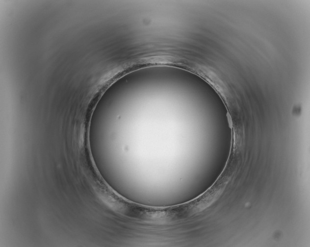 X0000095110301200712070926