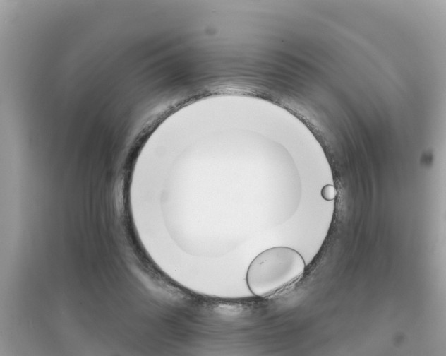 X0000095110302200712070926