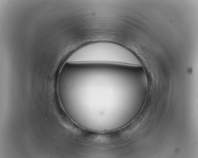 X0000095110303200712070926
