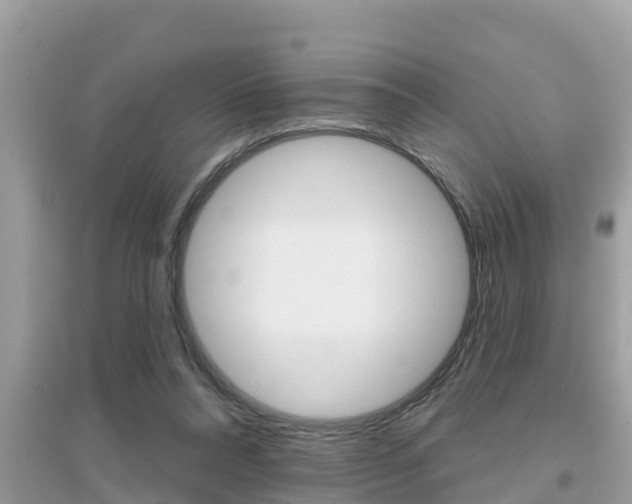 X0000095110304200712070926