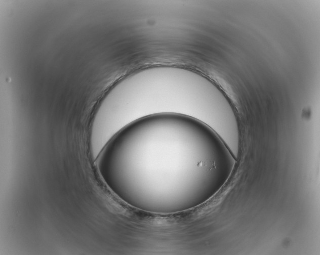 X0000095110305200712070926