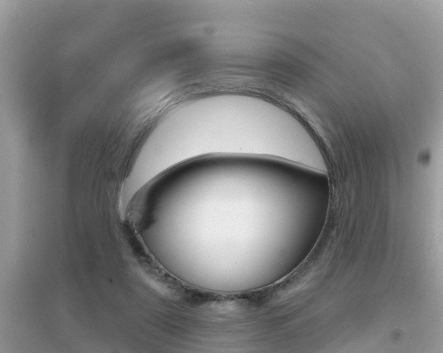 X0000095110307200712070926