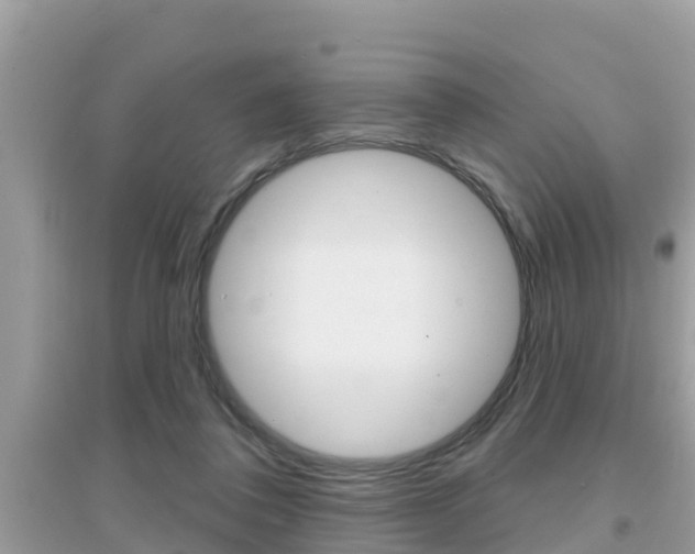 X0000095110308200712070926