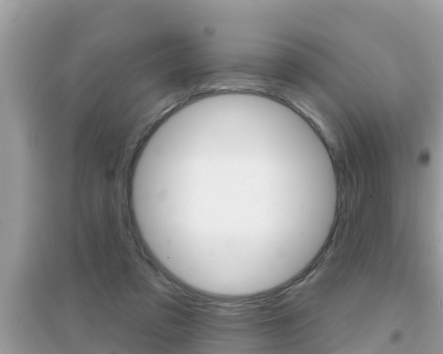 X0000095110309200712070926