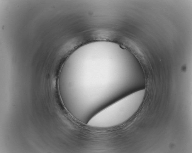 X0000095110310200712070926