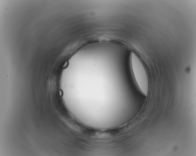 X0000095110311200712070926