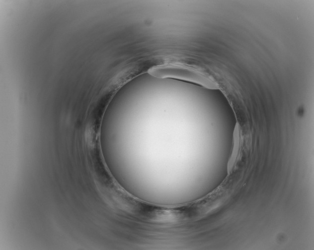 X0000095110316200712070925