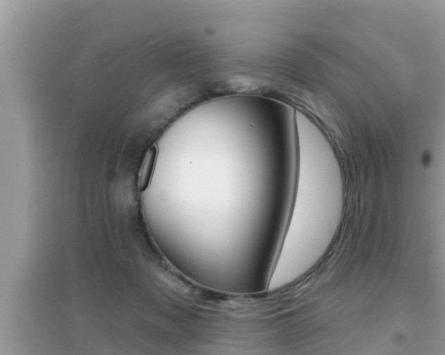 X0000095110317200712070925