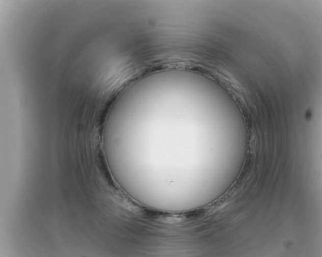 X0000095110318200712070925