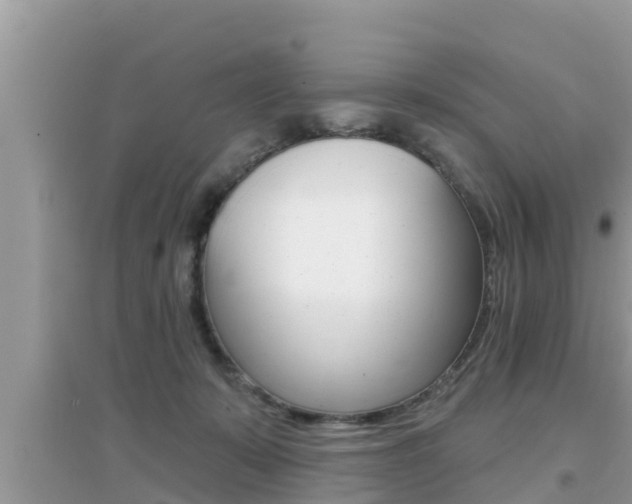 X0000095110319200712070925