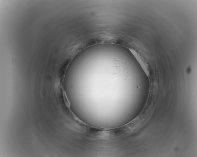 X0000095110320200712070925