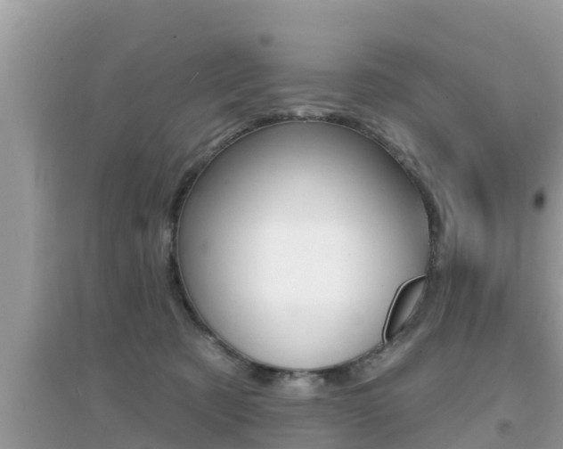 X0000095110321200712070925