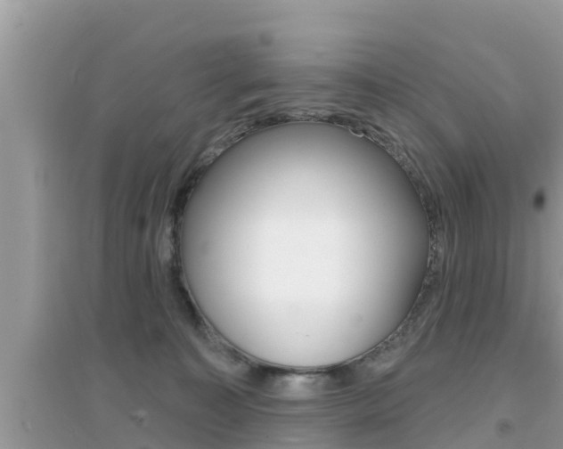 X0000095110323200712070925