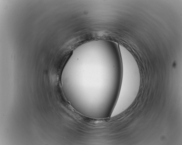 X0000095110324200712070925
