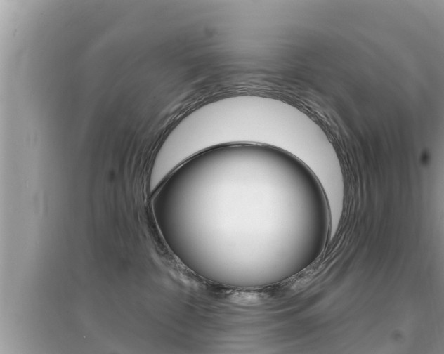 X0000095110332200712070925