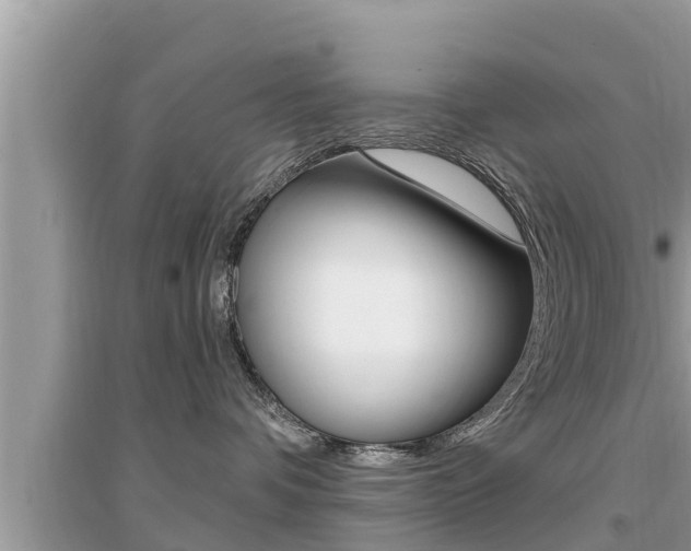 X0000095110336200712070925