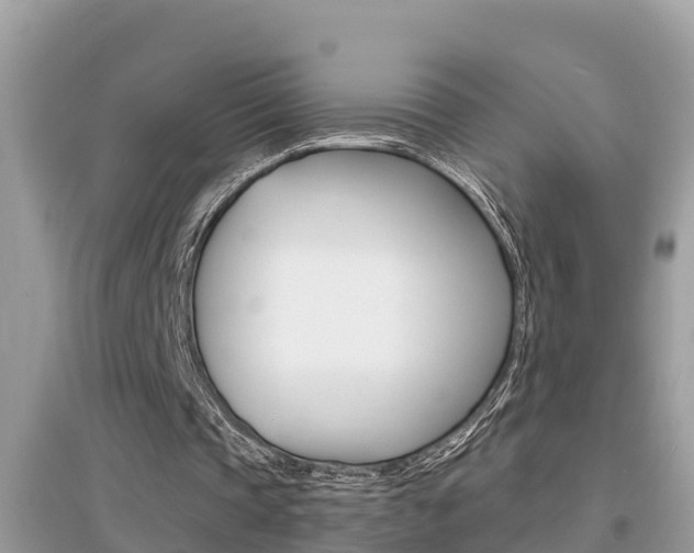 X0000095110337200712070924